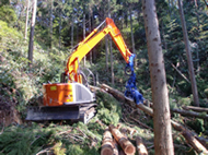 高性能林業機械による伐木・造材